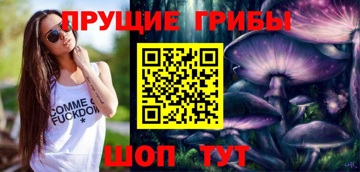 Галлюциногенные грибы GOLDEN TEACHER  Псилоцибиновые грибы Psilocybe  Жуковский  Вход с VPN 